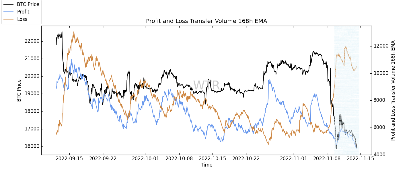 雄關漫道，前路昭昭｜WTR 11.14