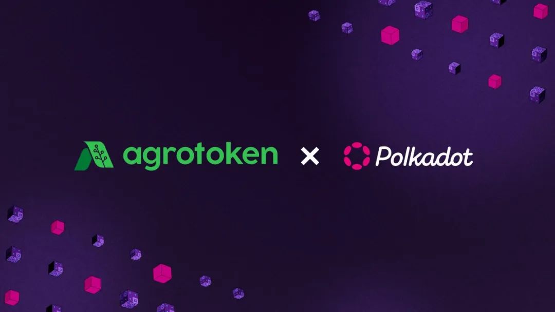 Polkadot 与 RWA的未来：提高全球效率、透明度和可访问性