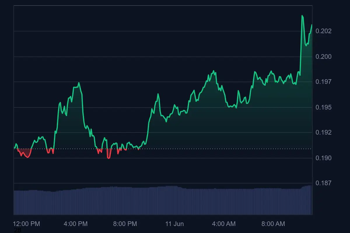 马斯克后悔了，狗狗币暴涨6%