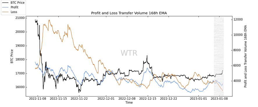 企者不立，跨者不行｜WTR 1.9 