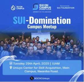 Taking Sui Chain as an example, exploring new paths for public chains to break through the paradox of compliance and development