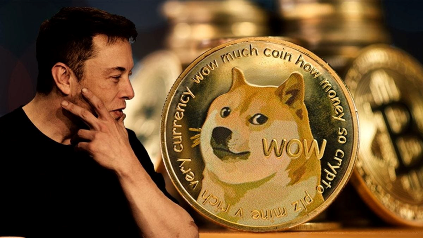 马斯克官宣担任$Troll CTO，再度上演Meme奇迹！5 招教你轻松玩转土狗币