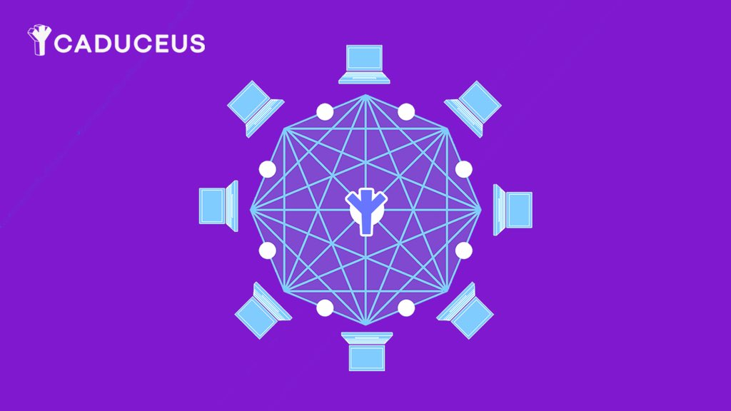 Caduceus在Web3领域中的技术现状及未来展望