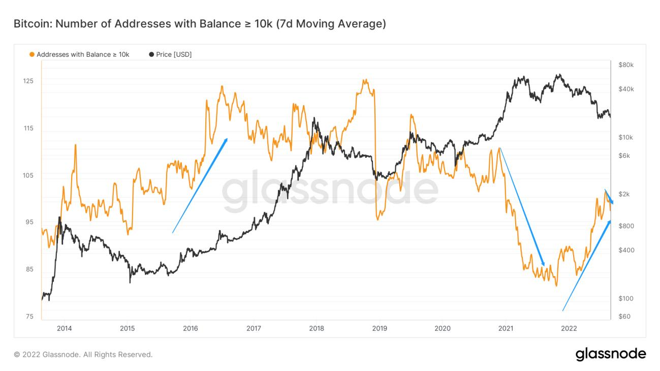 兵疲意阻,艰贞无咎|WTR 8.29