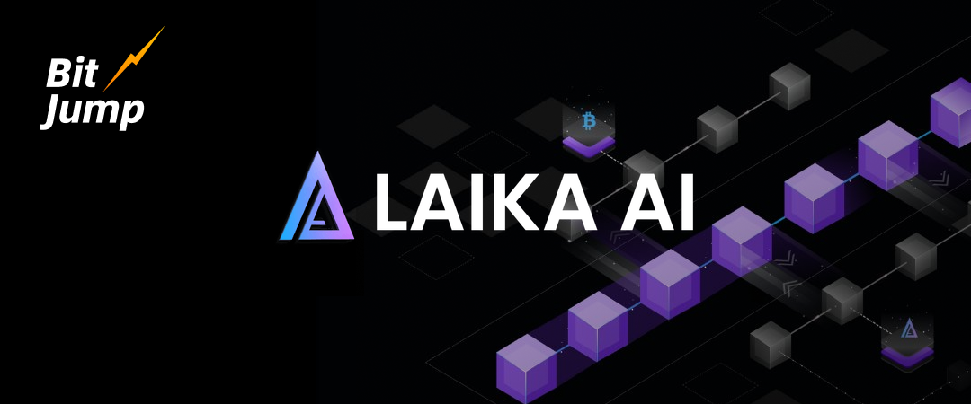 从安全到洞察：解读 Laika AI 的一站式资产安全与智能分析工具