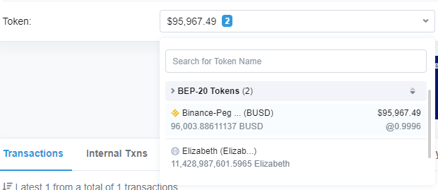 BNB链上Elizabeth项目安全隐患