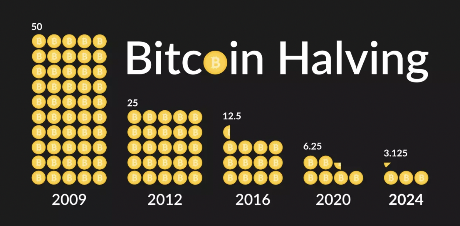 The Future of Finance: Harnessing On-Chain Potential