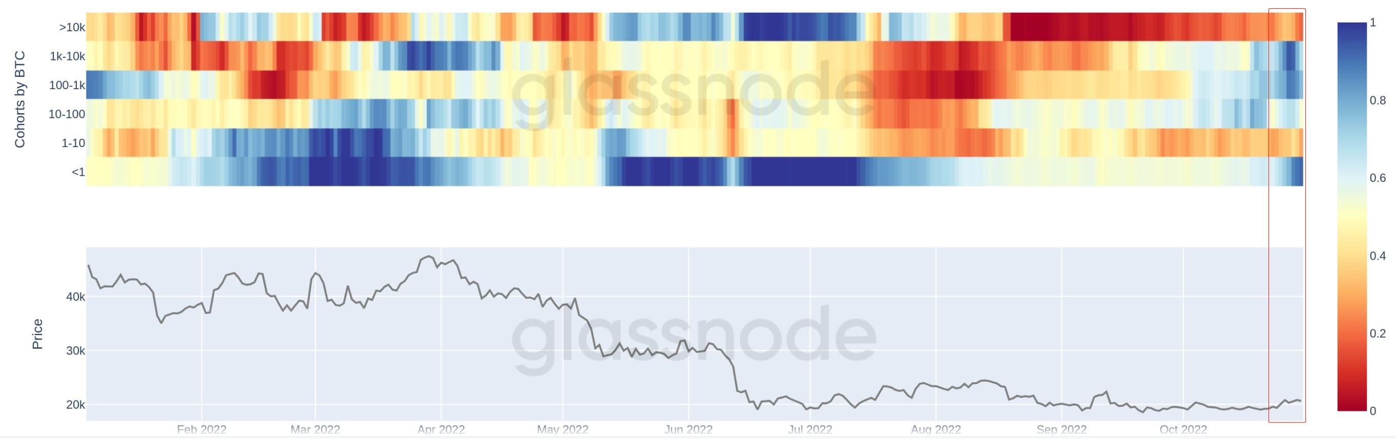 雲破月來，萬象為賓 | WTR 10.31