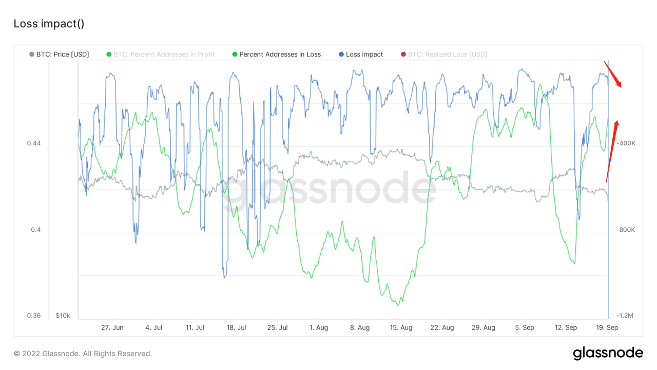 金无足色、璧有微瑕|WTR 9.19
