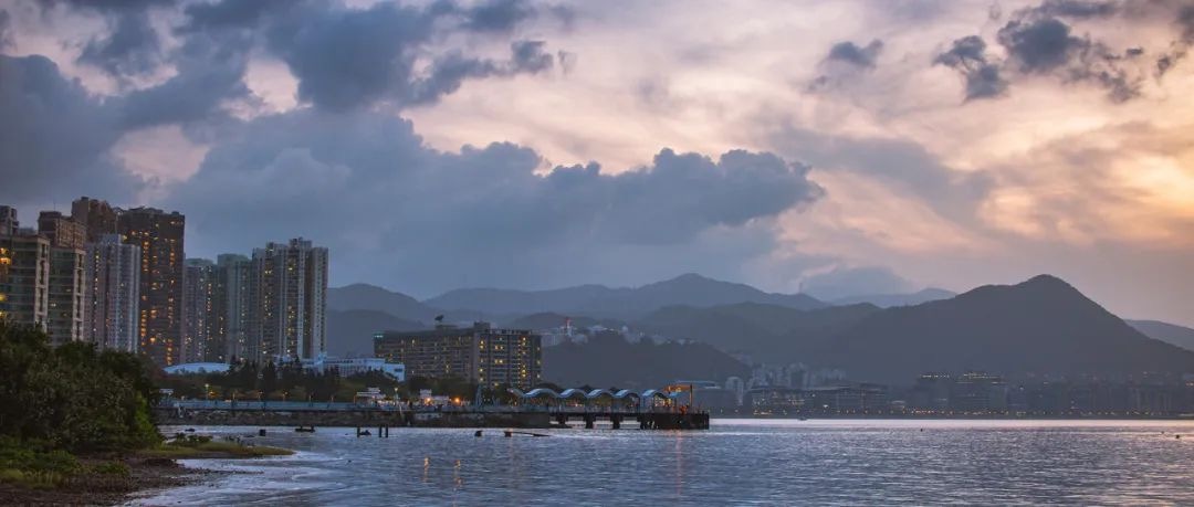 香港引进人才30年:从佛系引才到全力揽人