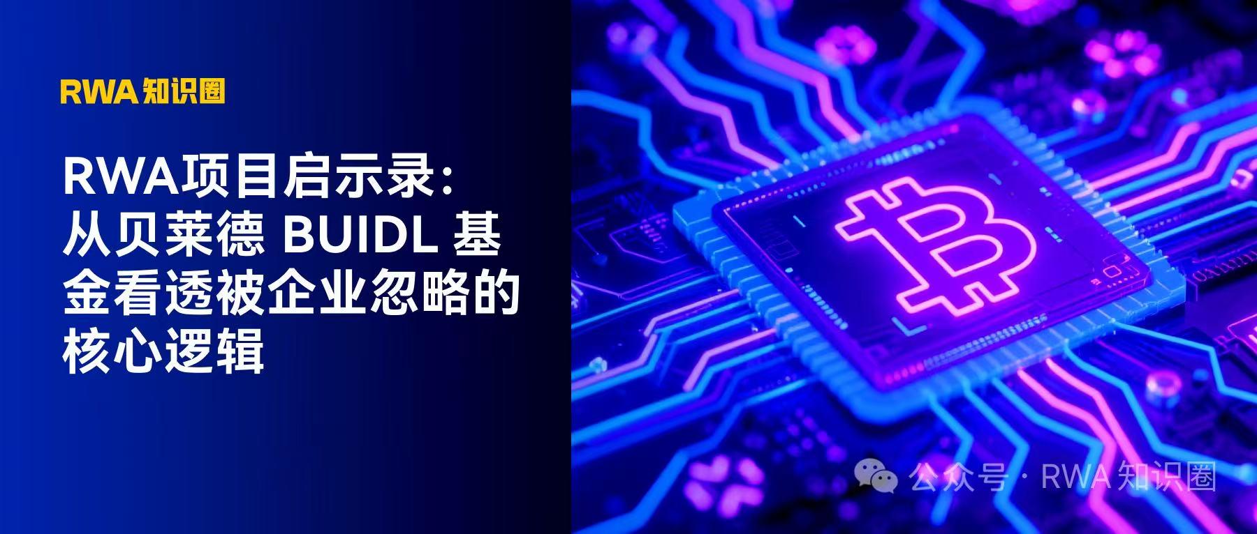 RWA项目启示录：从贝莱德 BUIDL 基金看透被企业忽略的核心逻辑