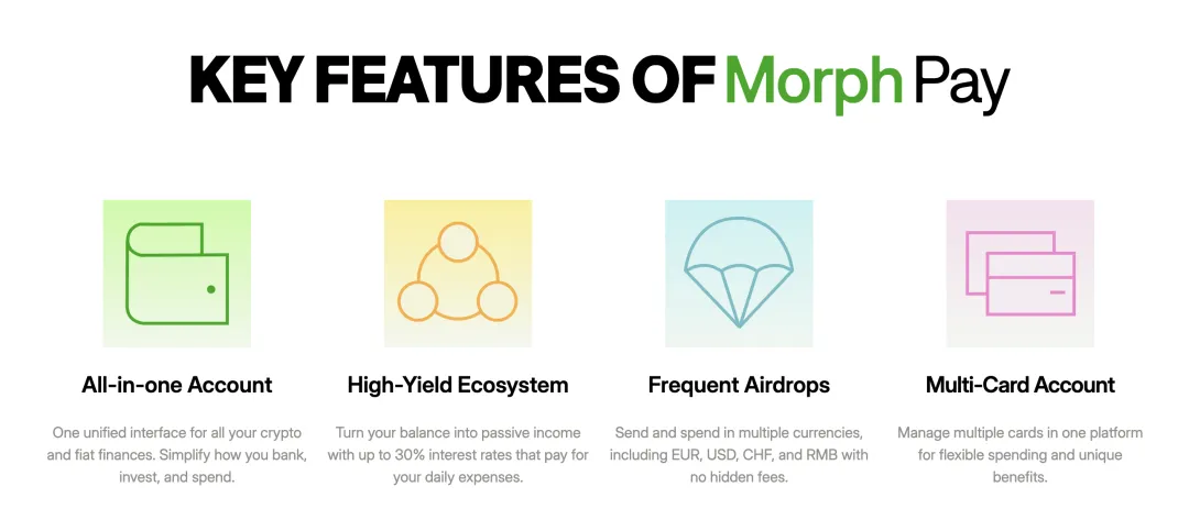 What is the difference between Morph consumer-grade public chain in the PayFi track?