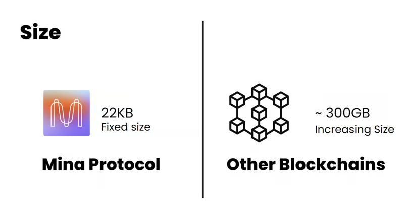 世界最轻 22KB 区块链， Mina Protocol 如何实现 ZK 可编程？