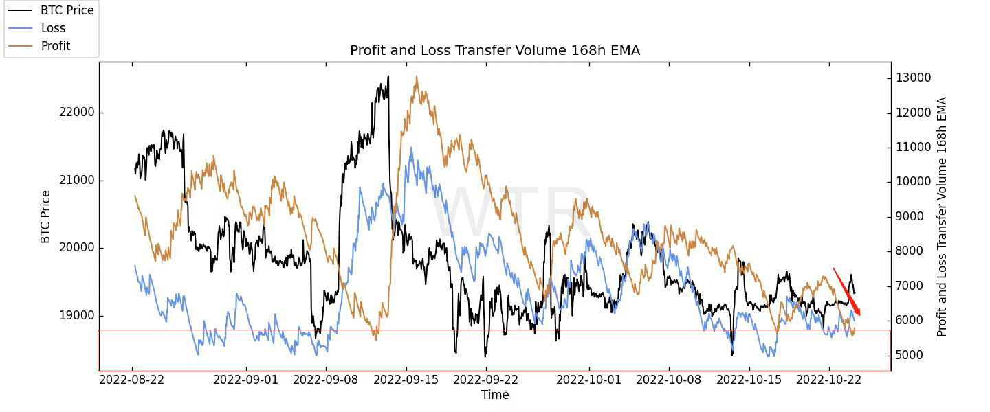 浮生未歇，星斗崢嶸｜WTR 10.24