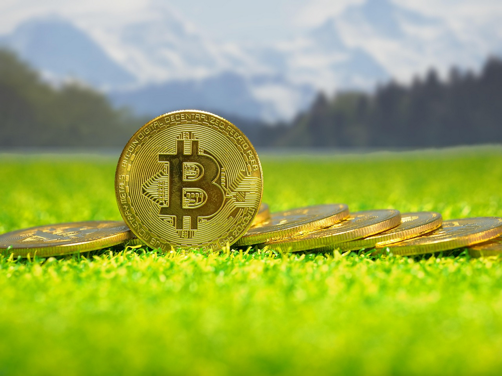虚拟货币司法处置：处置公司需要哪些资质？