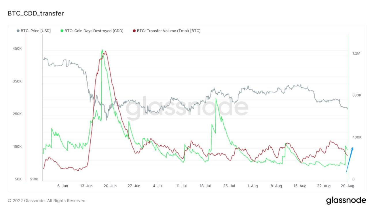 兵疲意阻,艰贞无咎|WTR 8.29
