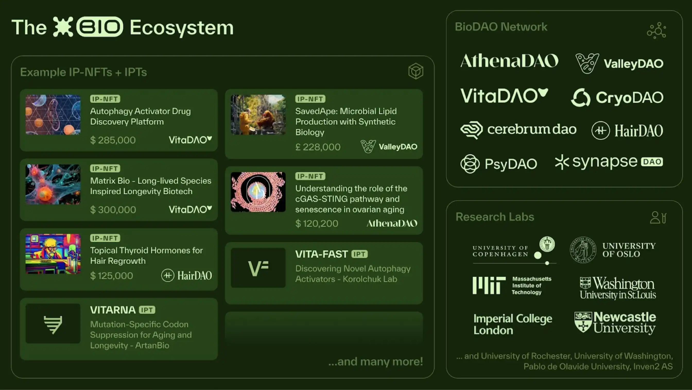 **"BIO Protocol: La Rivoluzione della Biotecnologia attraverso la Decentralizzazione e l'Innovazione Scientifica"**