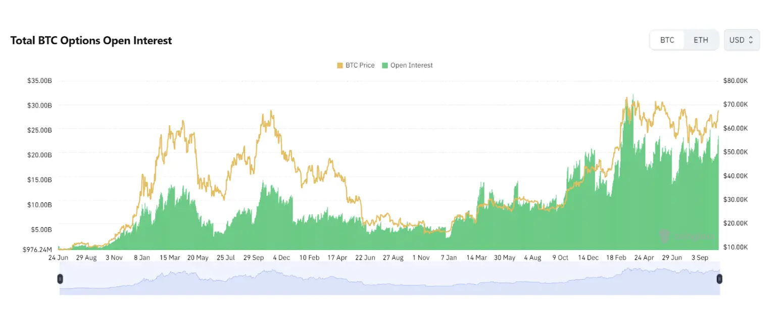 比特幣ETF選擇權獲批，下一個價格上漲催化劑？