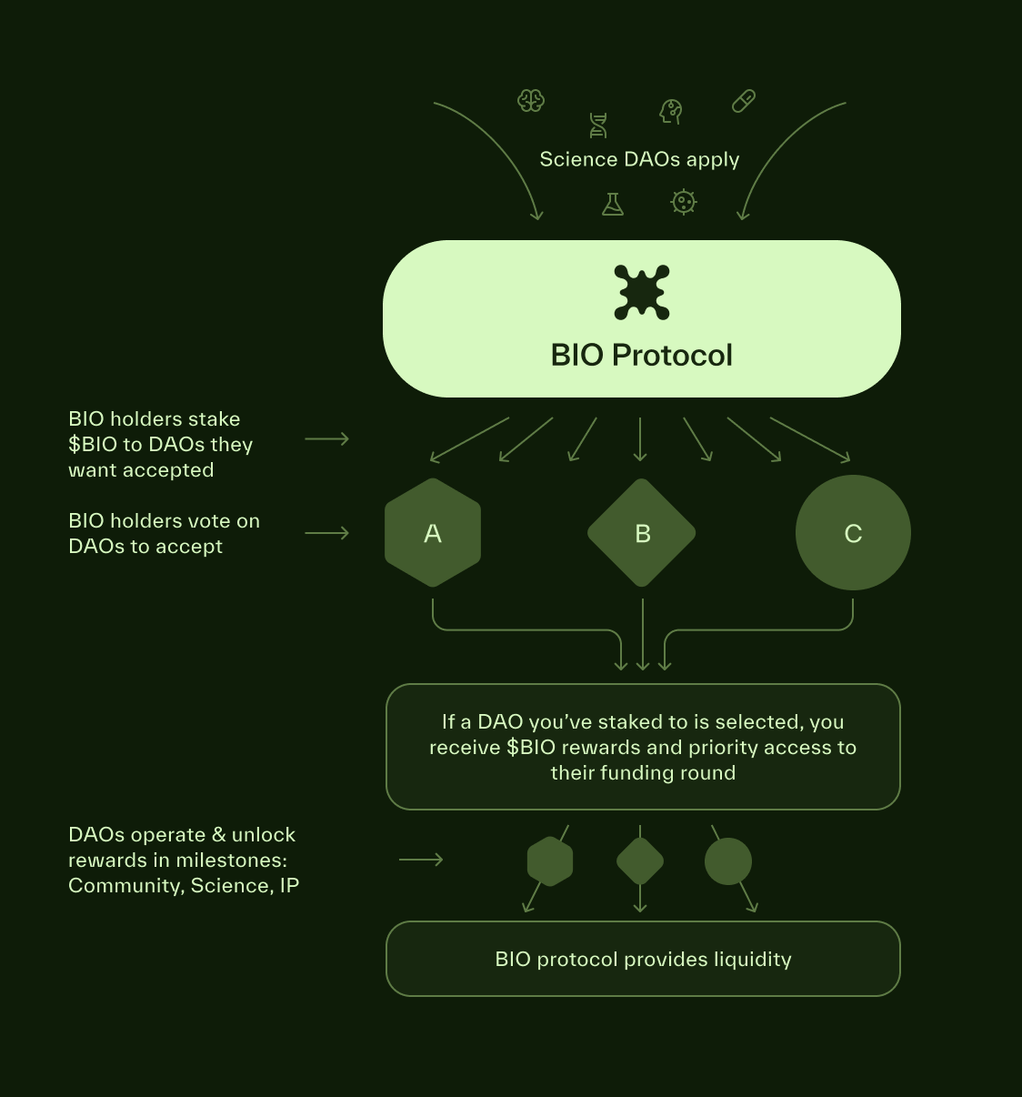 探究鏈上科學孵化器BIO Protocol為何能獲得Binance Labs青睞？