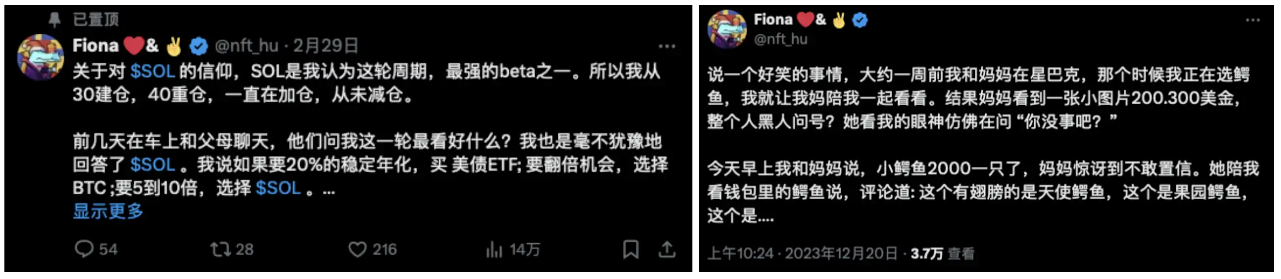 对话KOL Fiona：从VC到项目方再到“全职散户”，实力派Alpha猎手的炒币哲学