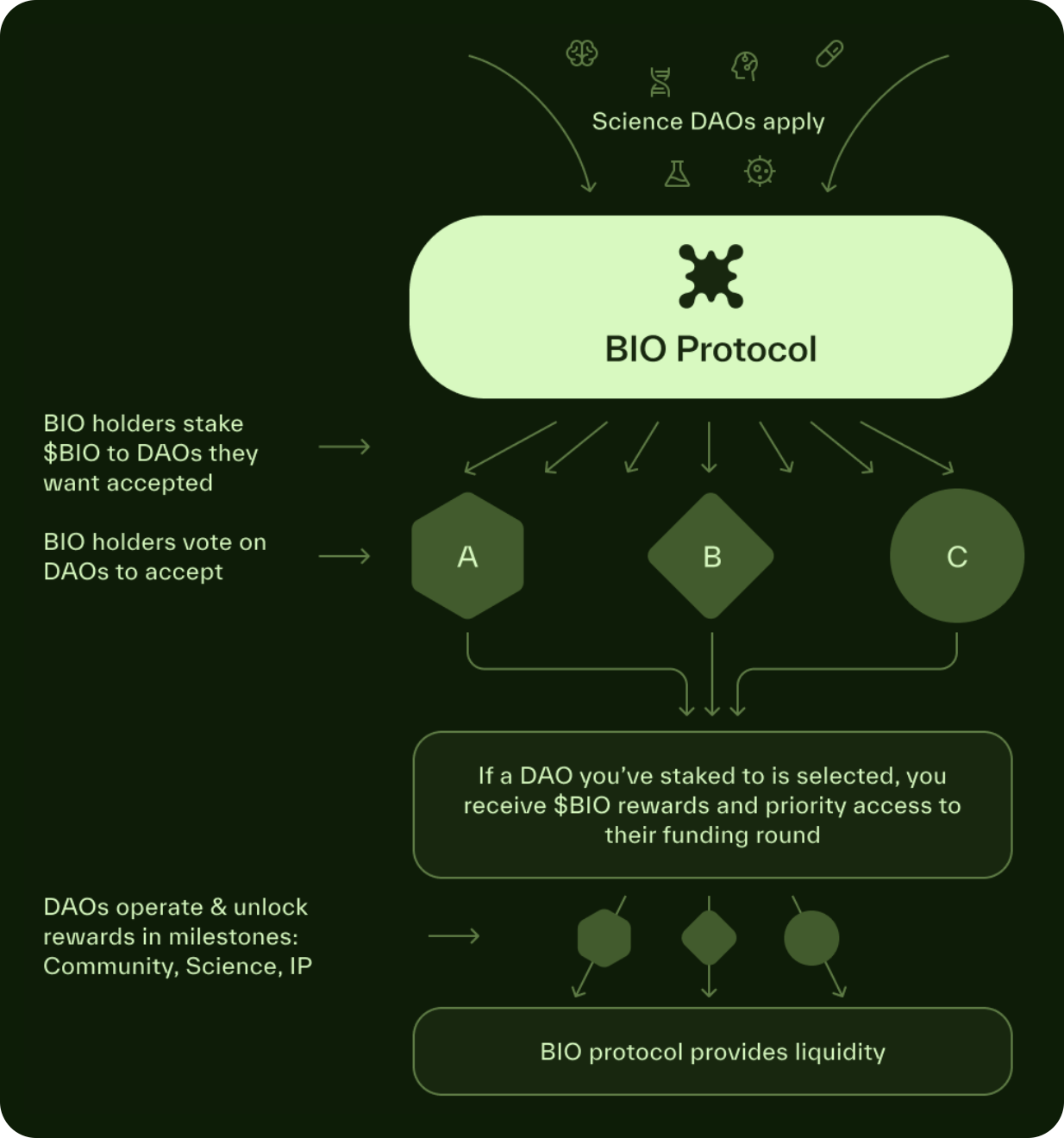 Detailed explanation of how projects in the BIO Protocol and DeSci fields innovate new paradigms of scientific research and development