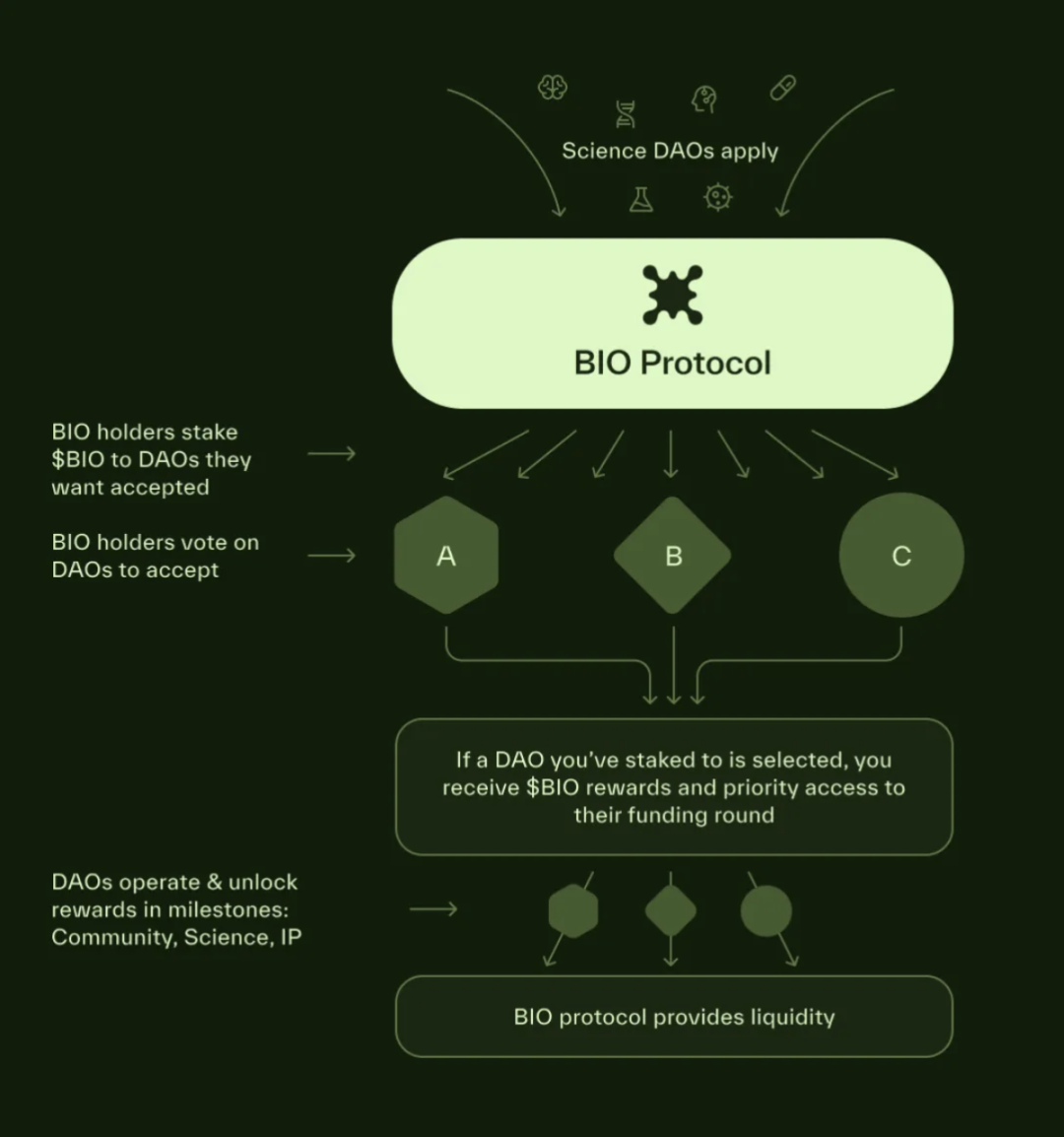 解构BIO Protocol：最大的DeSci基础设施，众多BIO子网共建生态繁荣